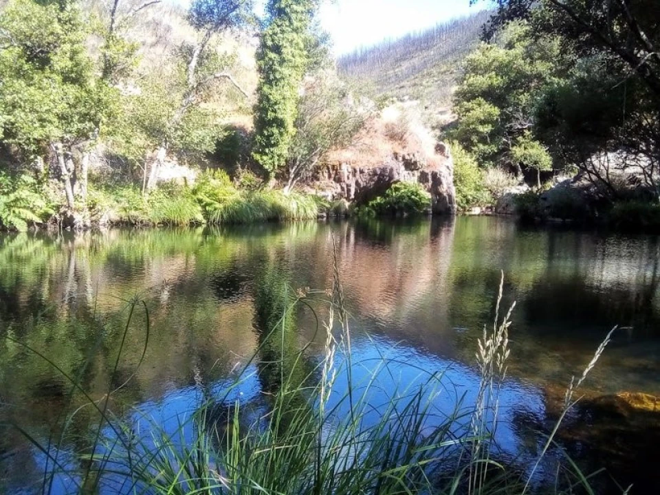 Moradia T2 para Venda em Mação, Penhascoso e Aboboreira Foto 44