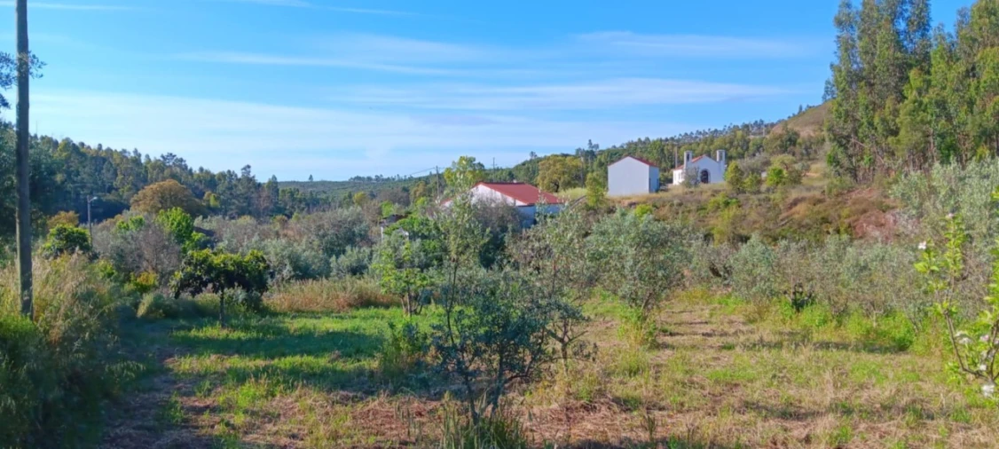Moradia T2 para Venda em Mação, Penhascoso e Aboboreira Foto 41