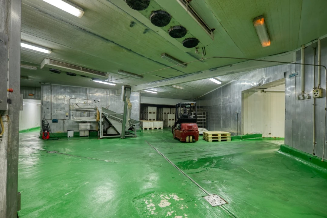 Negócio para Venda em Mação, Penhascoso e Aboboreira Foto 4