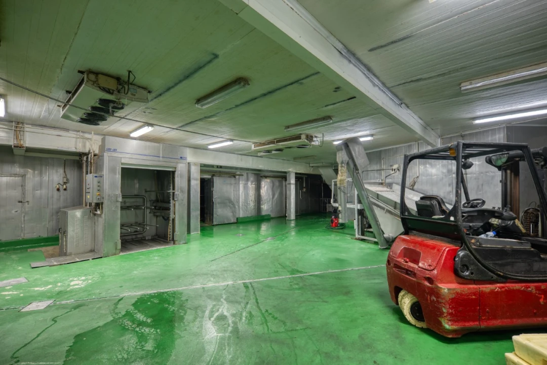 Negócio para Venda em Mação, Penhascoso e Aboboreira Foto 5