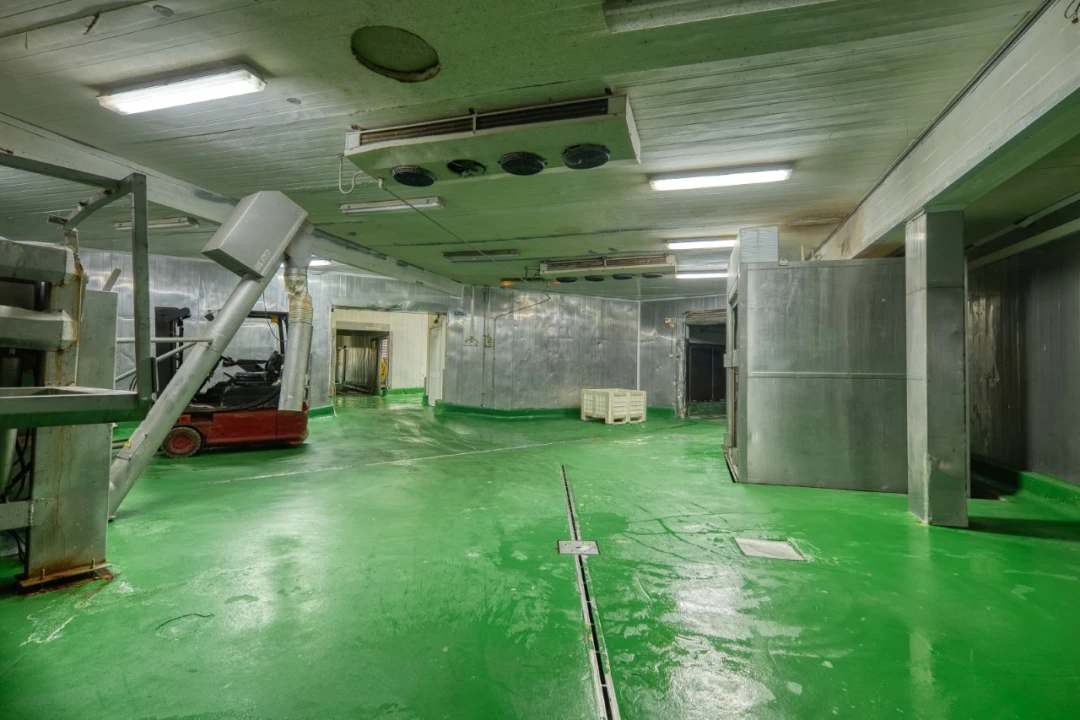 Negócio para Venda em Mação, Penhascoso e Aboboreira Foto 6