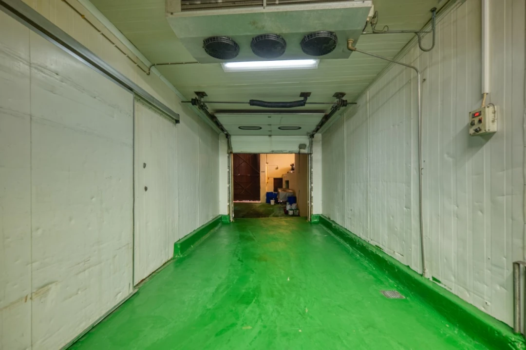 Negócio para Venda em Mação, Penhascoso e Aboboreira Foto 8