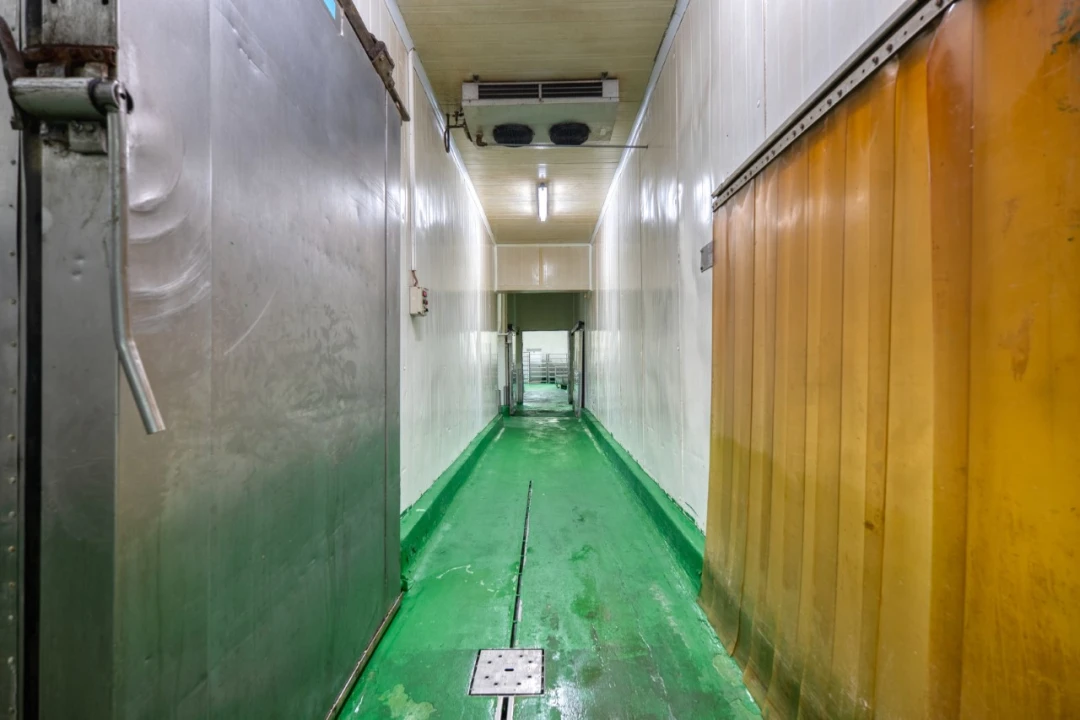 Negócio para Venda em Mação, Penhascoso e Aboboreira Foto 15