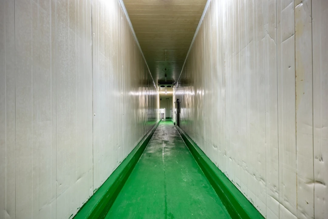 Negócio para Venda em Mação, Penhascoso e Aboboreira Foto 16