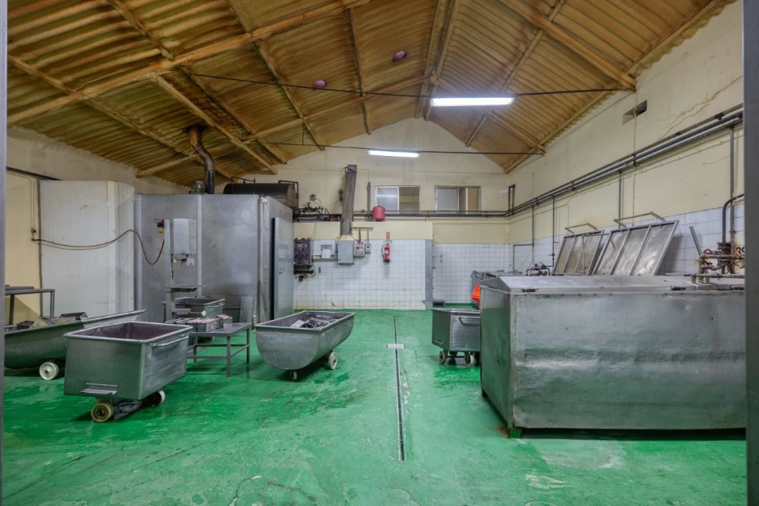 Negócio para Venda em Mação, Penhascoso e Aboboreira Foto 17