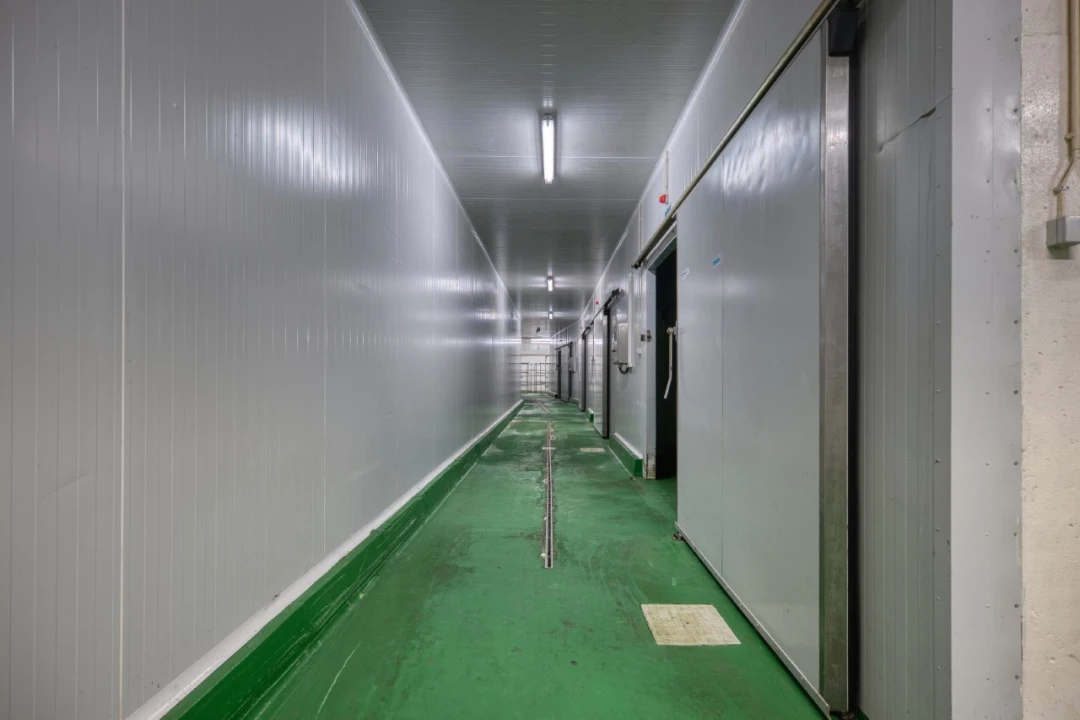 Negócio para Venda em Mação, Penhascoso e Aboboreira Foto 24