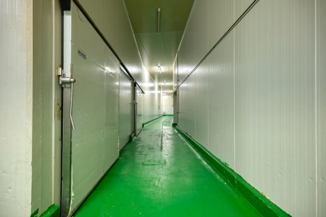 Negócio para Venda em Mação, Penhascoso e Aboboreira Foto 34