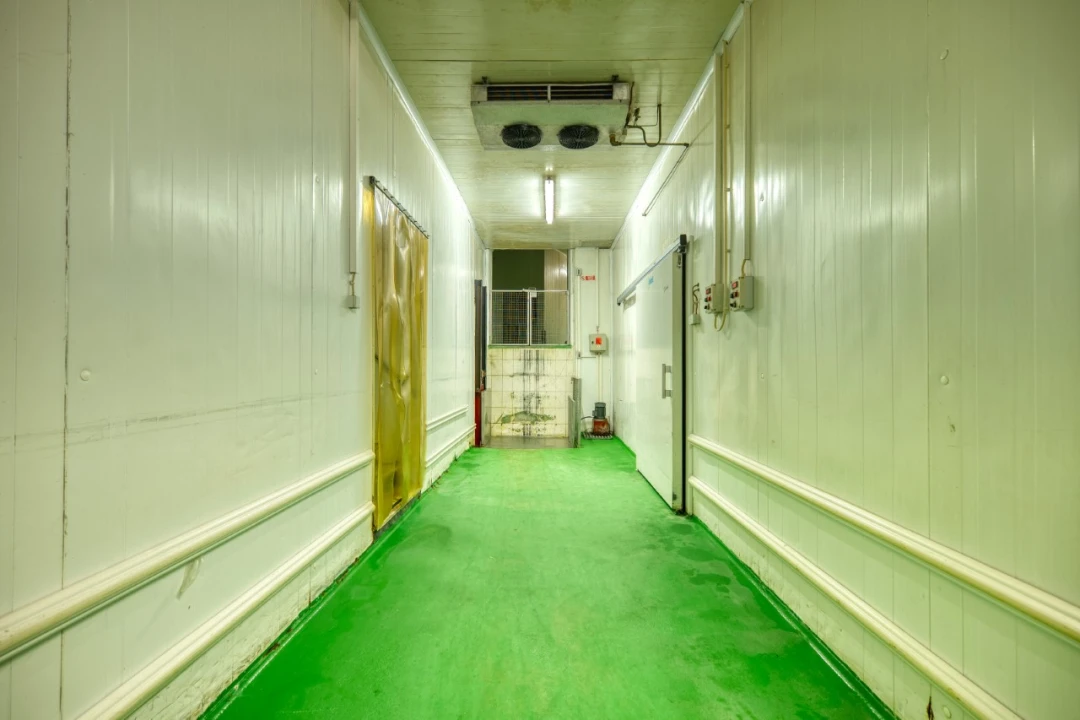 Negócio para Venda em Mação, Penhascoso e Aboboreira Foto 36