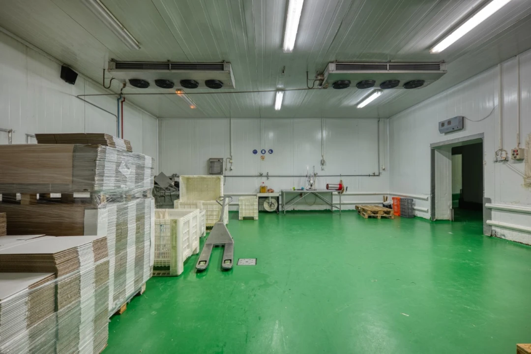 Negócio para Venda em Mação, Penhascoso e Aboboreira Foto 37