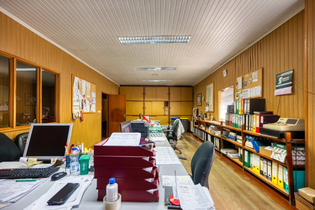 Negócio para Venda em Mação, Penhascoso e Aboboreira Foto 49