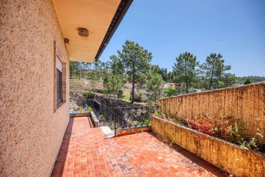 Negócio para Venda em Mação, Penhascoso e Aboboreira Foto 81