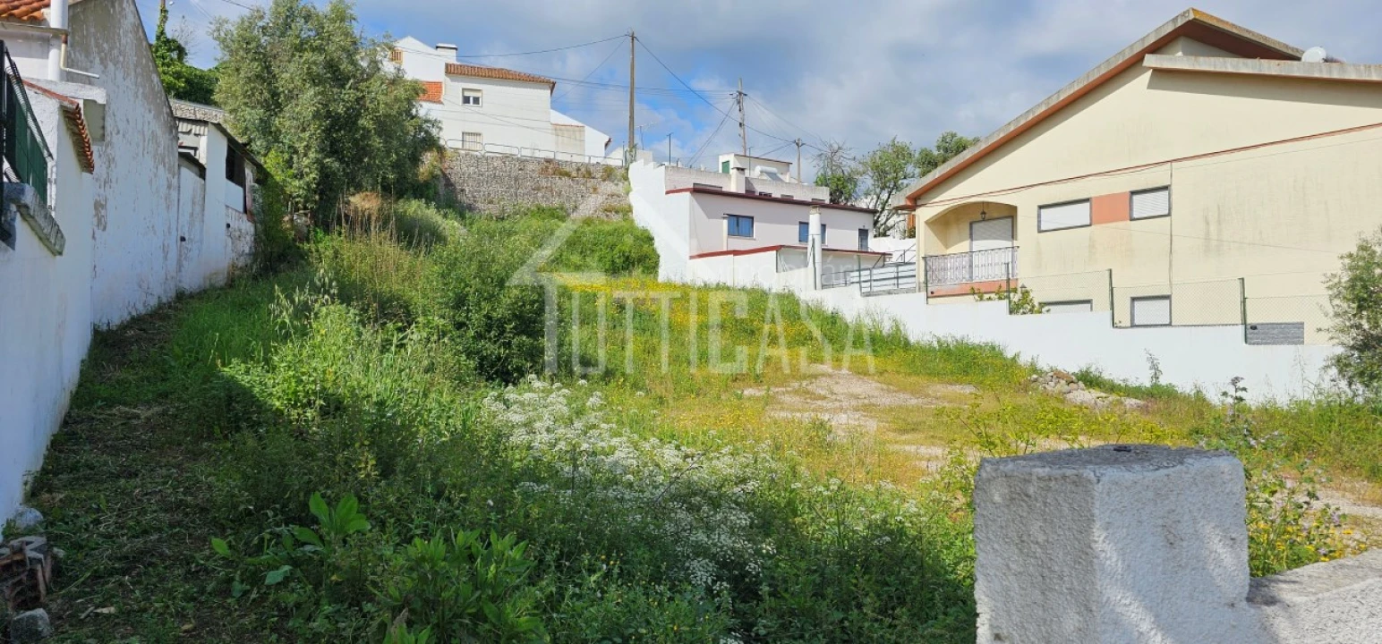 Terreno para Venda em Lousa Foto 13