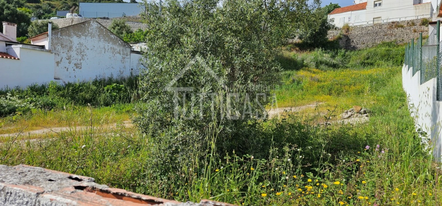 Terreno para Venda em Lousa Foto 14
