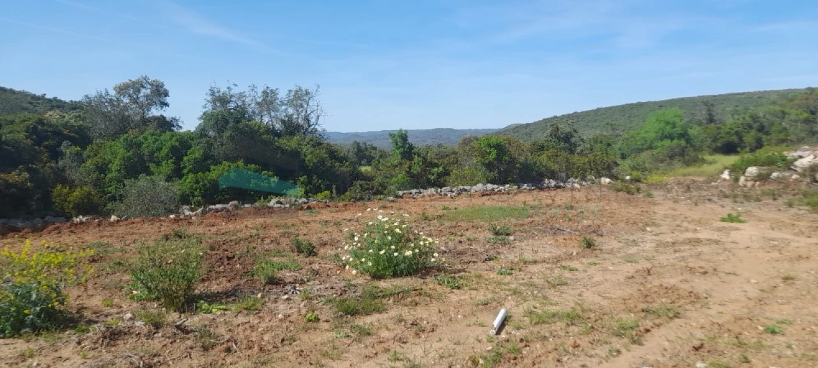Terreno Agricola ou Rústico para Venda em Loule (São Clemente) Foto 4