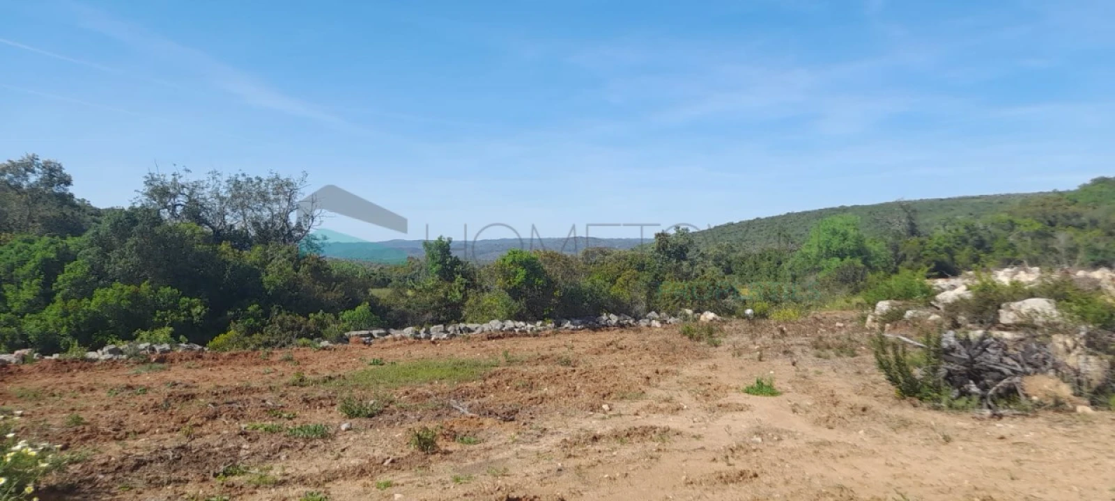 Terreno Agricola ou Rústico para Venda em Loule (São Clemente) Foto 7