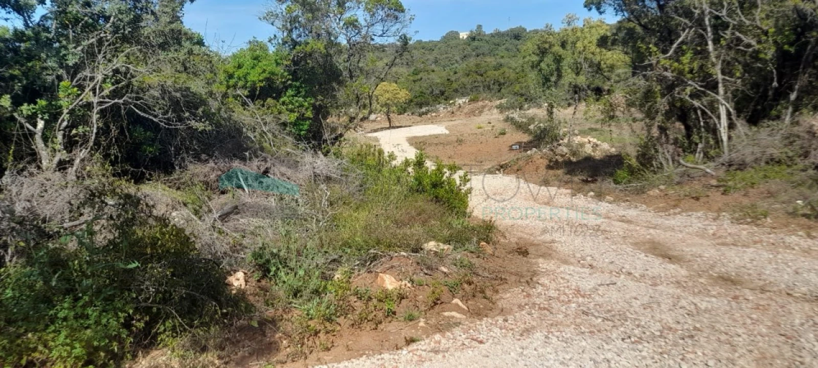 Terreno Agricola ou Rústico para Venda em Loule (São Clemente) Foto 11