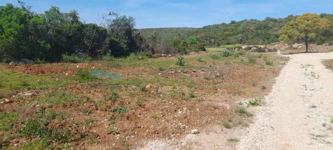 Terreno Agricola ou Rústico para Venda em Loule (São Clemente) Foto 2