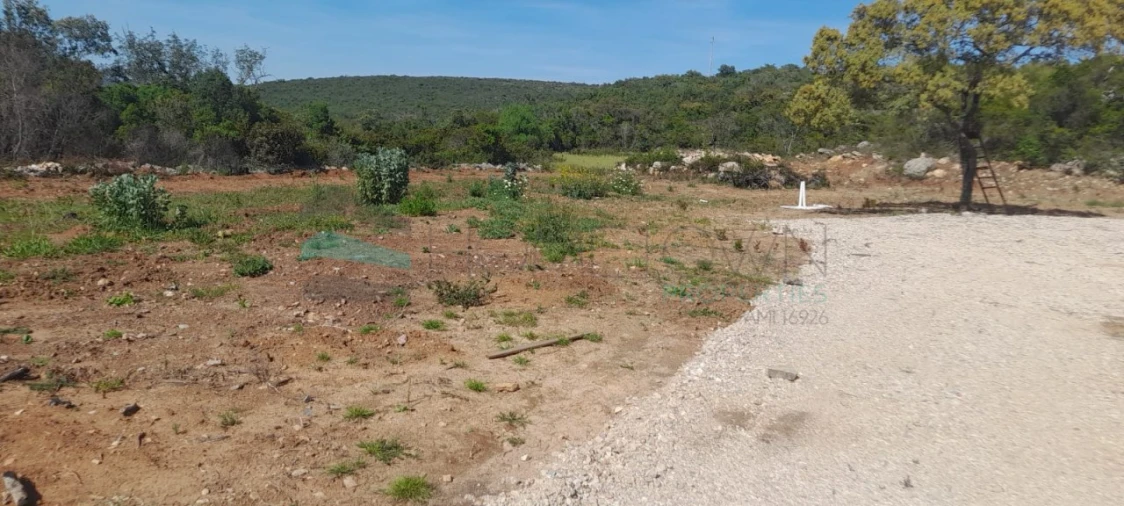 Terreno Agricola ou Rústico para Venda em Loule (São Clemente) Foto 6