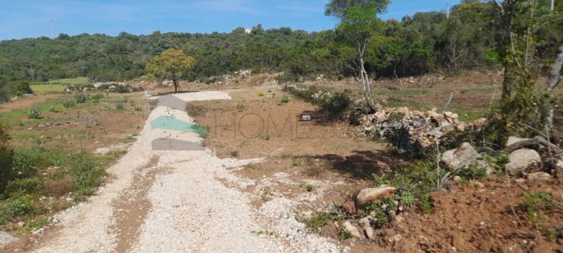 Terreno Agricola ou Rústico para Venda em Loule (São Clemente) Foto 15