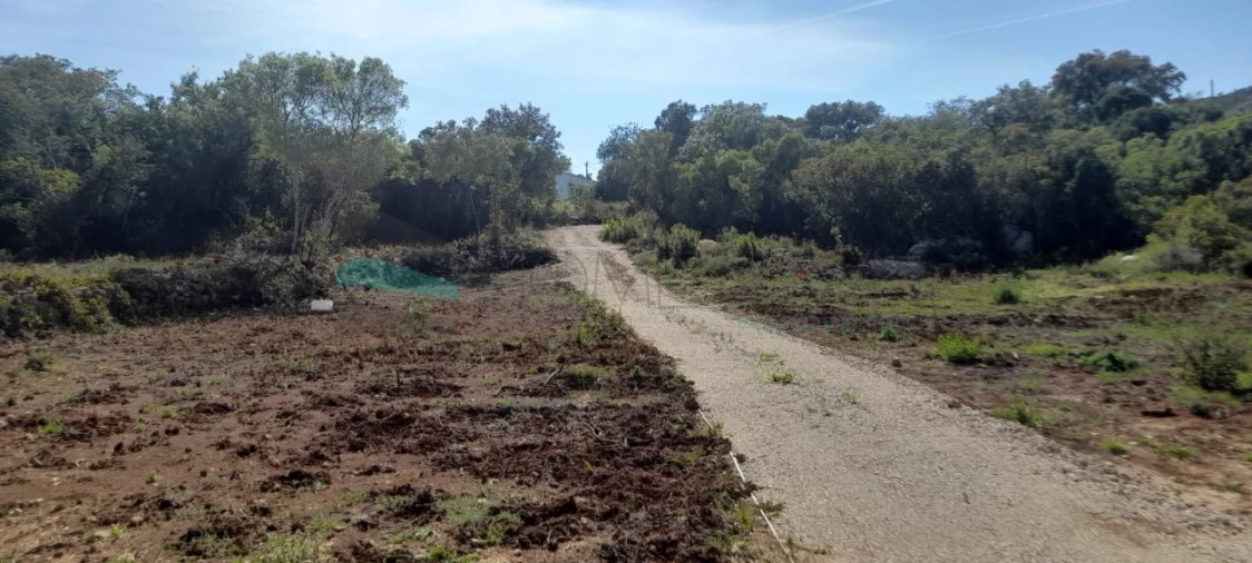 Terreno Agricola ou Rústico para Venda em Loule (São Clemente) Foto 16
