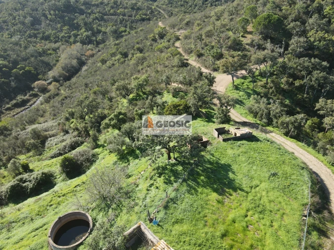 Quinta T4 para Venda em São Barnabe Foto 35