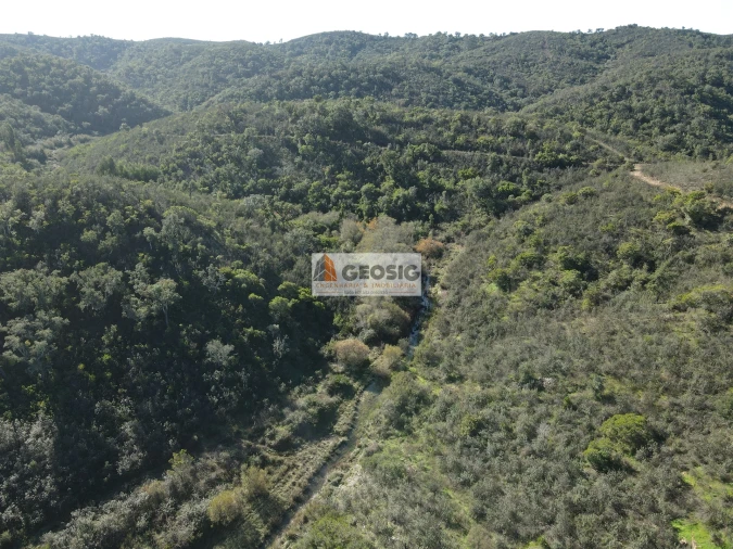 Quinta T4 para Venda em São Barnabe Foto 41