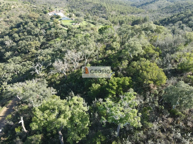 Quinta T4 para Venda em São Barnabe Foto 36