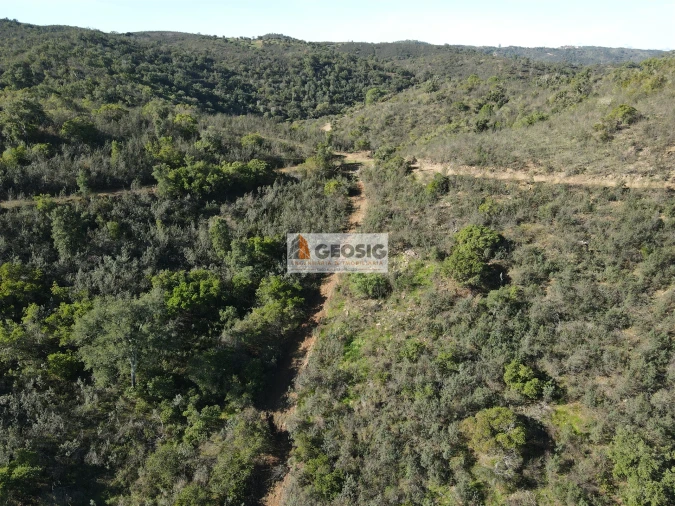 Quinta T4 para Venda em São Barnabe Foto 43