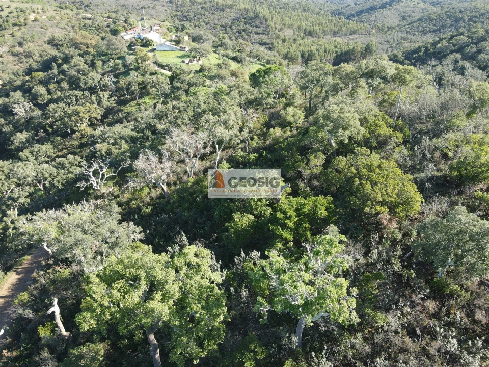 Quinta T4 para Venda em São Barnabe Foto 36