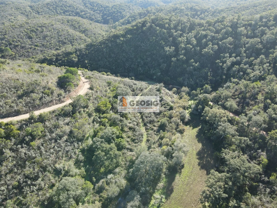 Quinta T4 para Venda em São Barnabe Foto 39