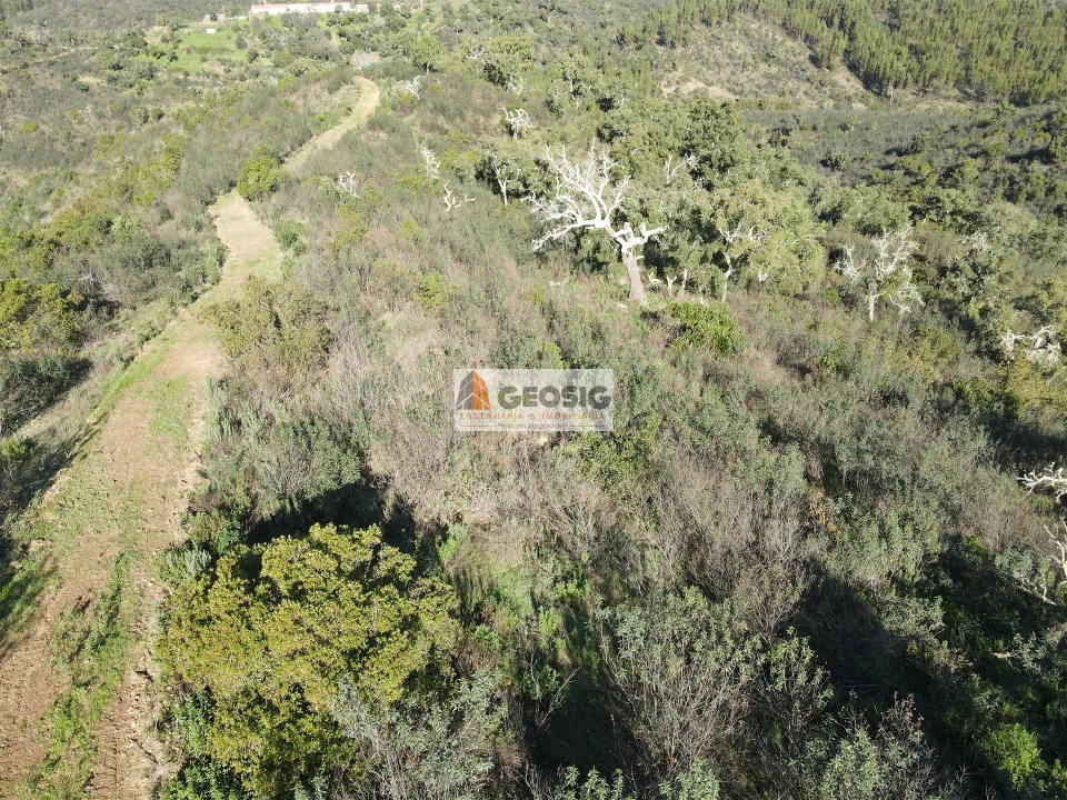 Quinta T4 para Venda em São Barnabe Foto 45