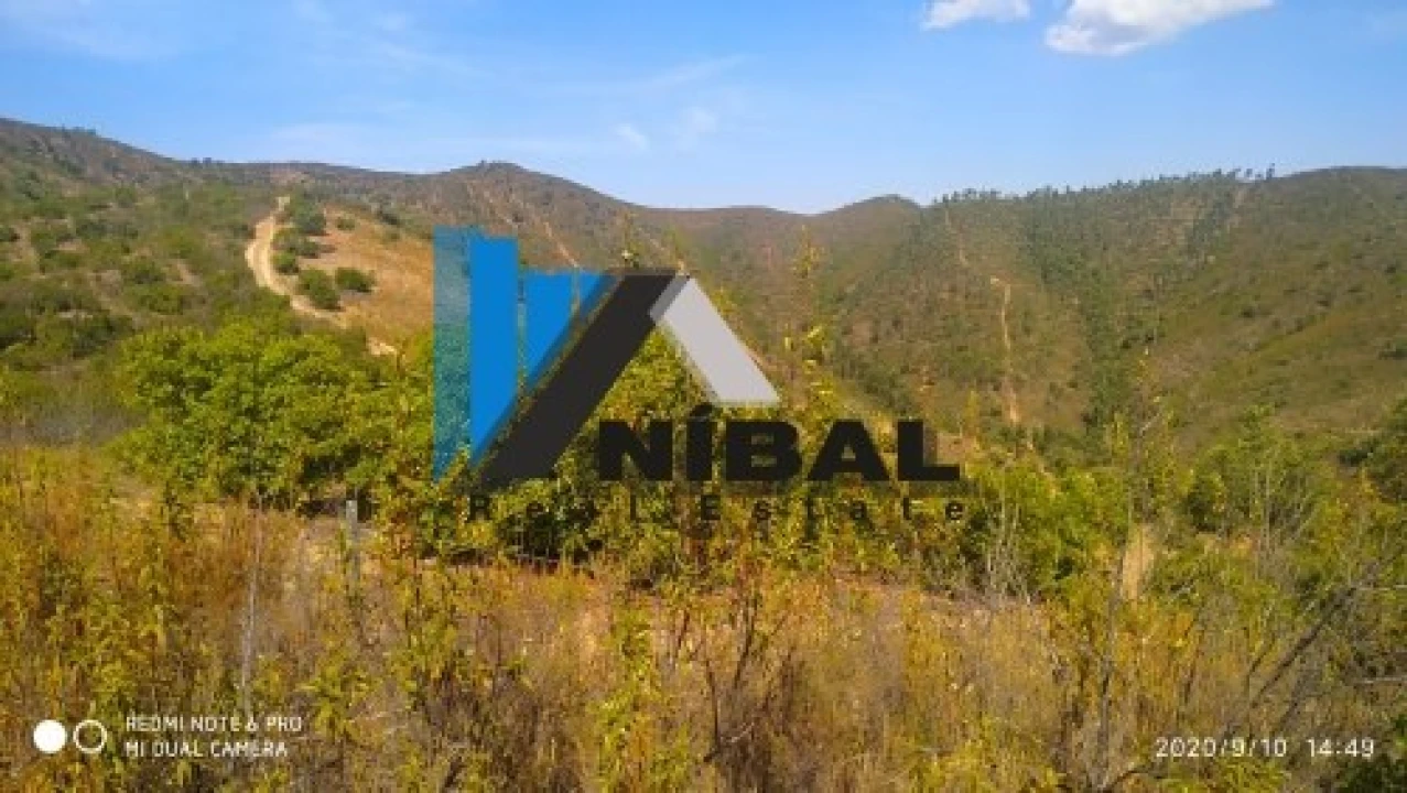 Terreno Agricola ou Rústico para Venda em São Bartolomeu de Messines Foto 2