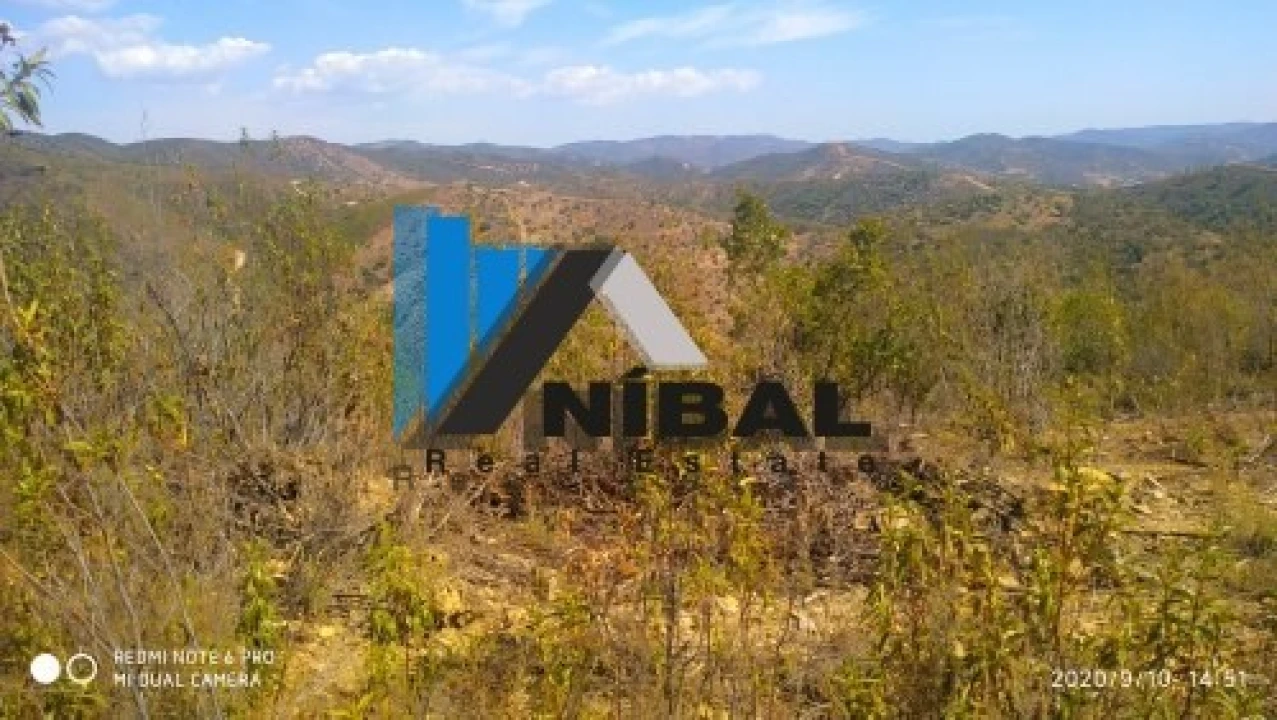 Terreno Agricola ou Rústico para Venda em São Bartolomeu de Messines Foto 5