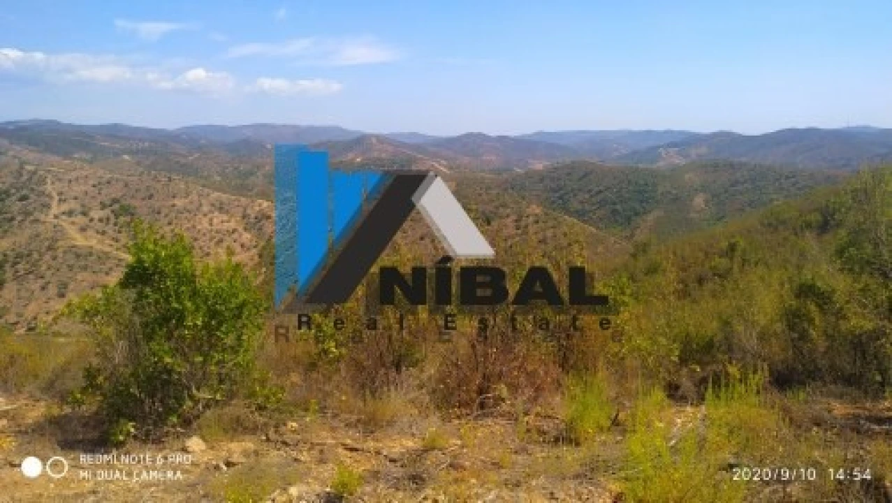 Terreno Agricola ou Rústico para Venda em São Bartolomeu de Messines Foto 6