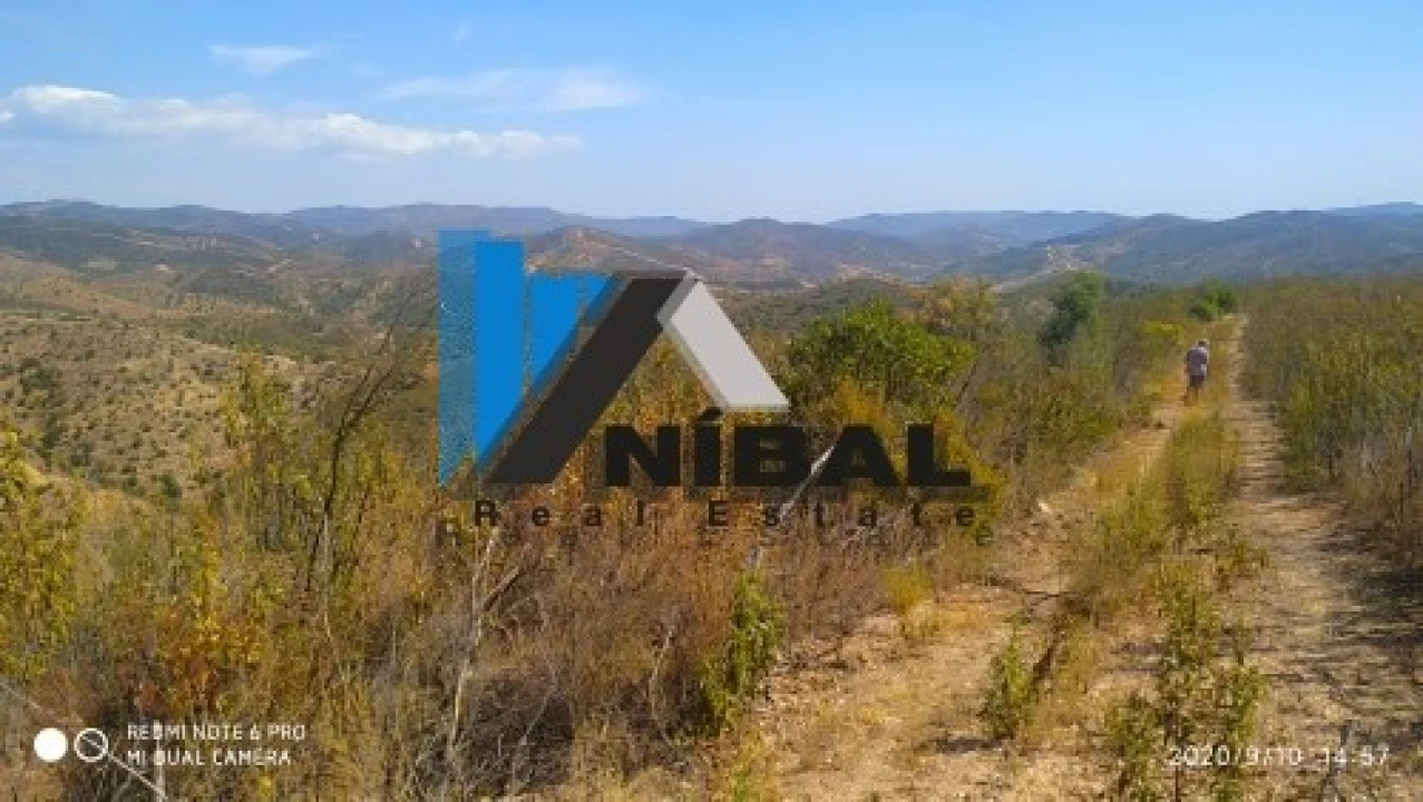 Terreno Agricola ou Rústico para Venda em São Bartolomeu de Messines Foto 8