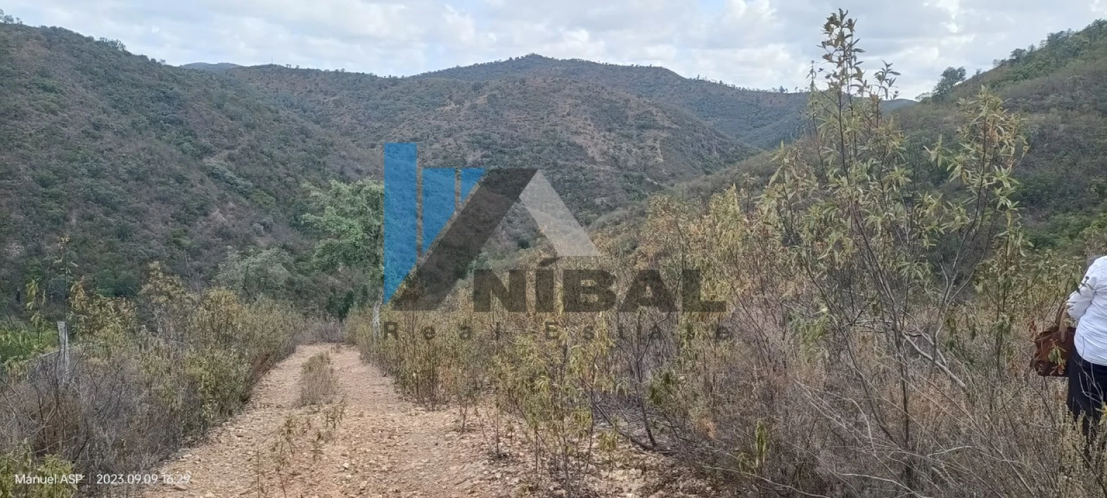 Terreno Agricola ou Rústico para Venda em São Bartolomeu de Messines Foto 9