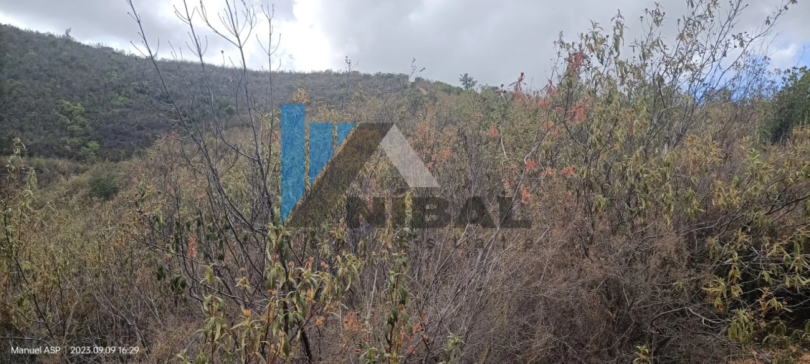 Terreno Agricola ou Rústico para Venda em São Bartolomeu de Messines Foto 10