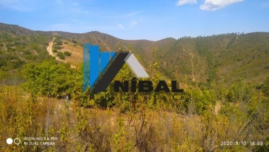 Terreno Agricola ou Rústico para Venda em São Bartolomeu de Messines Foto 2