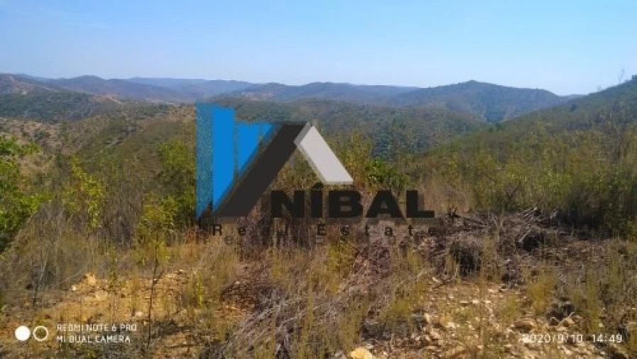 Terreno Agricola ou Rústico para Venda em São Bartolomeu de Messines Foto 4