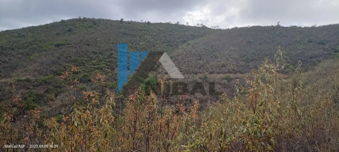 Terreno Agricola ou Rústico para Venda em São Bartolomeu de Messines Foto 11