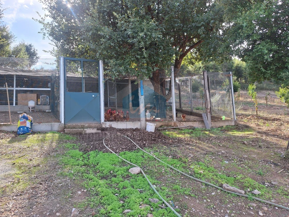 Terreno para Venda em Barcel, Marmelos e Valverde da Gestosa Foto 9