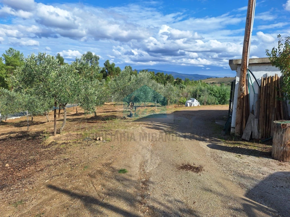 Terreno para Venda em Barcel, Marmelos e Valverde da Gestosa Foto 4