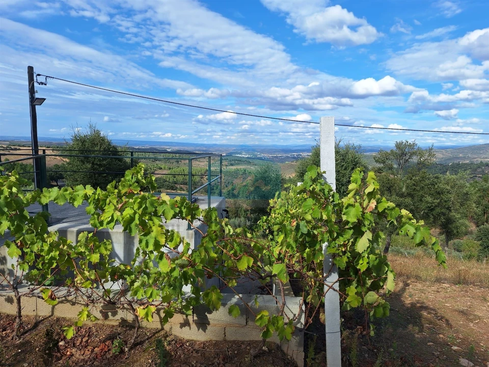 Terreno para Venda em Barcel, Marmelos e Valverde da Gestosa Foto 20