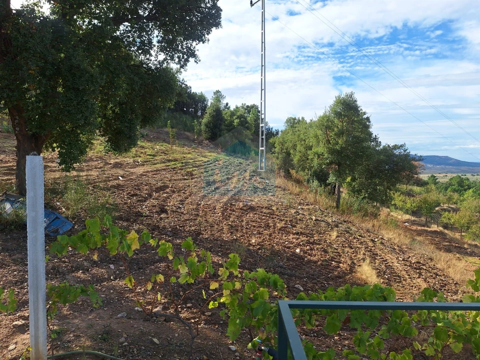 Terreno para Venda em Barcel, Marmelos e Valverde da Gestosa Foto 18