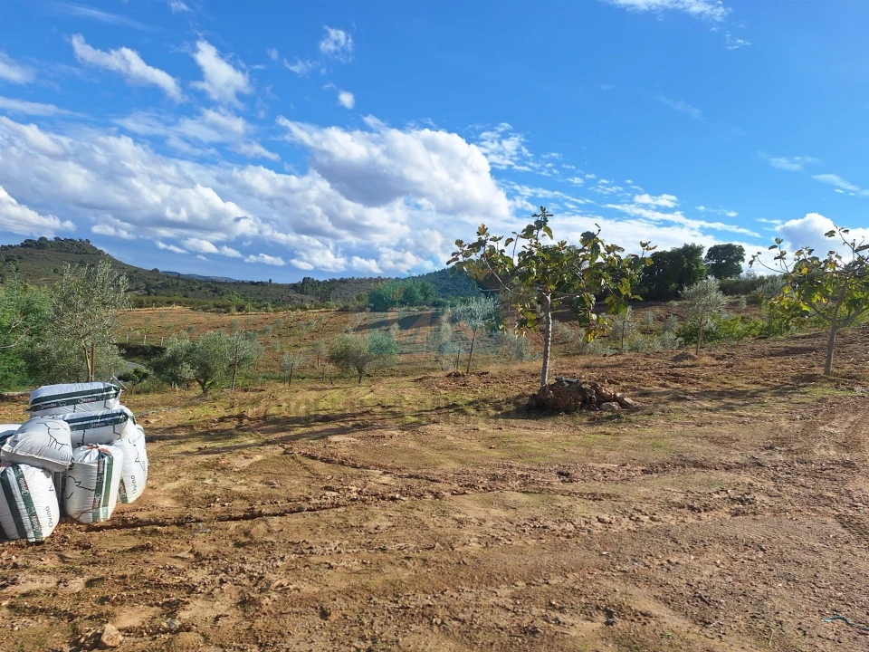 Terreno para Venda em Barcel, Marmelos e Valverde da Gestosa Foto 8