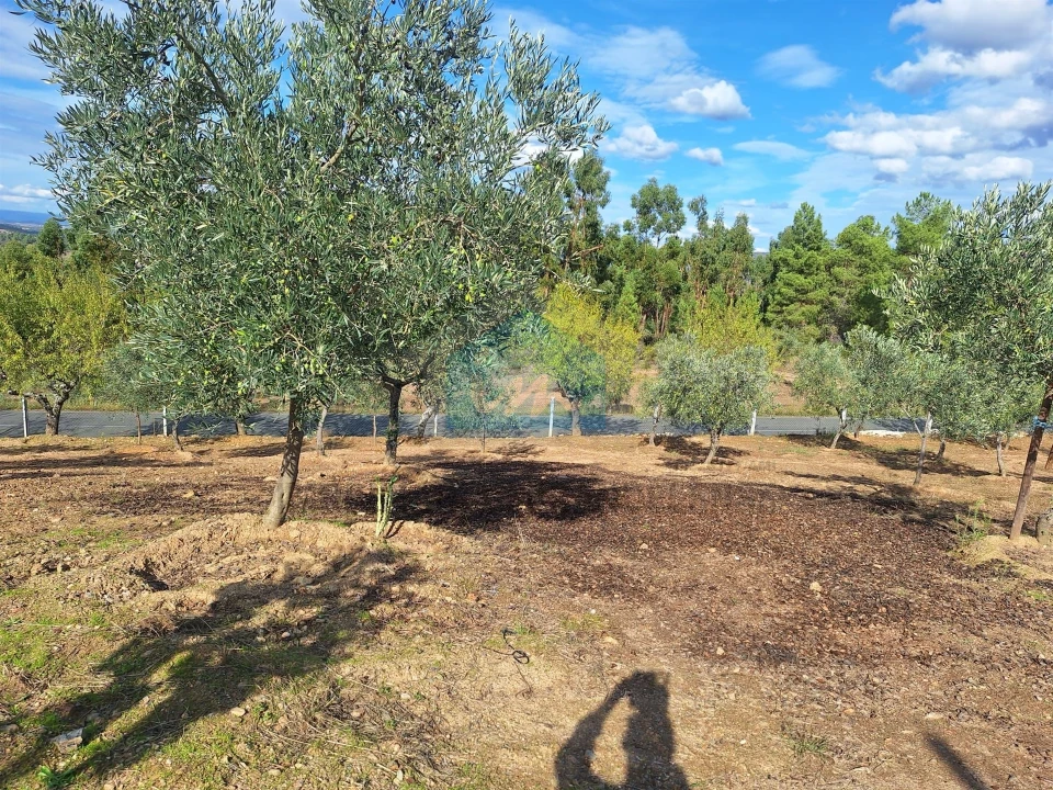 Terreno para Venda em Barcel, Marmelos e Valverde da Gestosa Foto 5