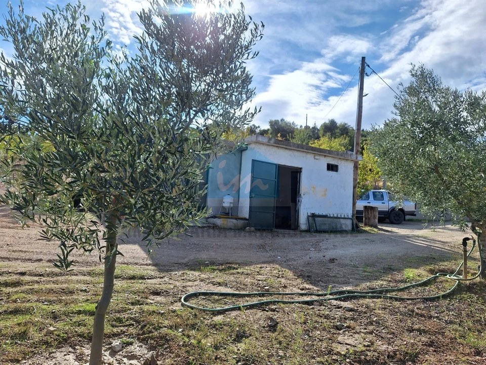 Terreno para Venda em Barcel, Marmelos e Valverde da Gestosa Foto 6