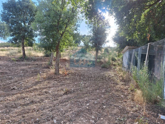 Terreno para Venda em Barcel, Marmelos e Valverde da Gestosa Foto 12