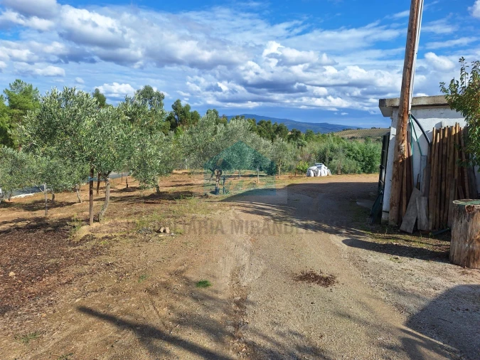 Terreno para Venda em Barcel, Marmelos e Valverde da Gestosa Foto 4