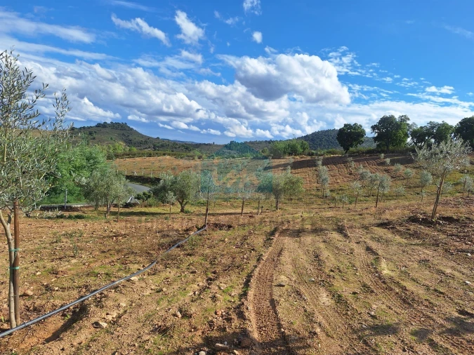 Terreno para Venda em Barcel, Marmelos e Valverde da Gestosa Foto 3